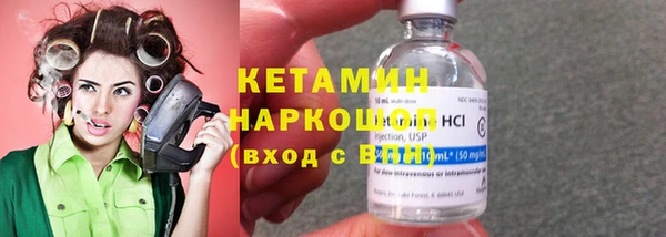 прущие грибы Гусев