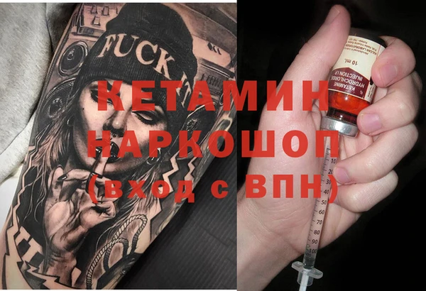 прущие грибы Гусев
