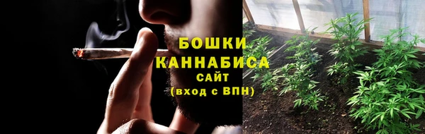 прущие грибы Гусев