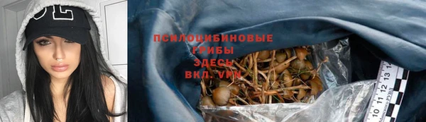 apvp Аксай