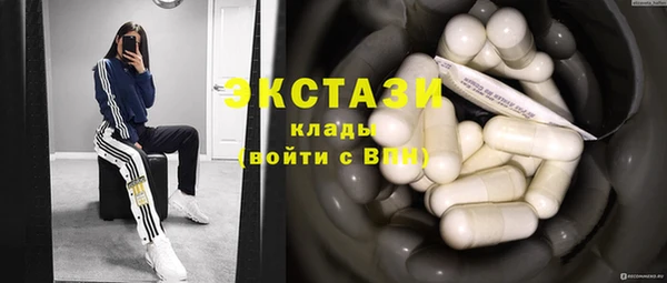 прущие грибы Гусев