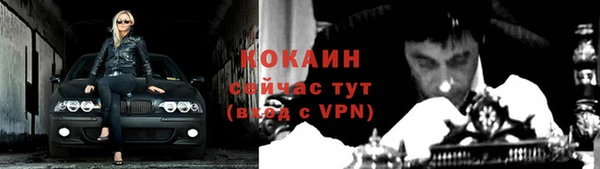 прущие грибы Гусев