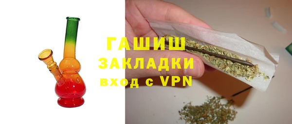 прущие грибы Гусев
