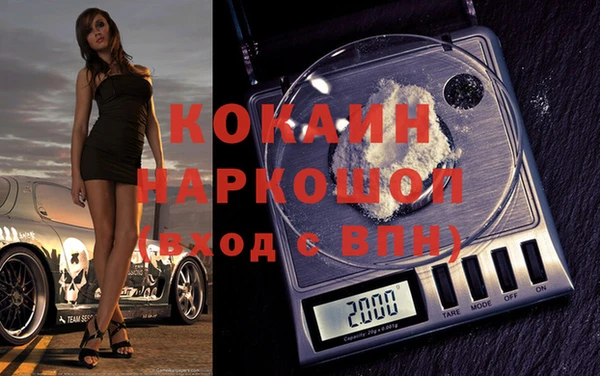 прущие грибы Гусев