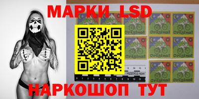 молекула духа Будённовск