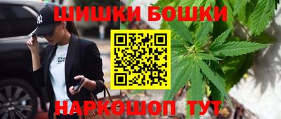 молекула духа Будённовск