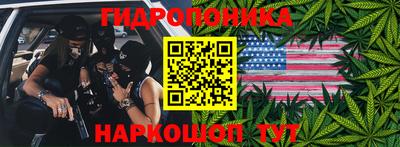 молекула духа Будённовск