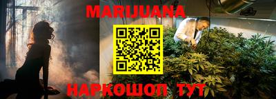 молекула духа Будённовск