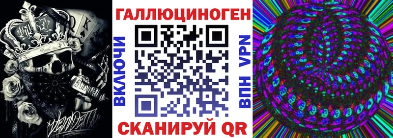 что такое   Дмитров  Галлюциногенные грибы Cubensis 