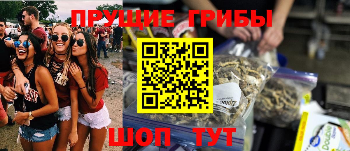 Галлюциногенные грибы Magic Shrooms Дмитров