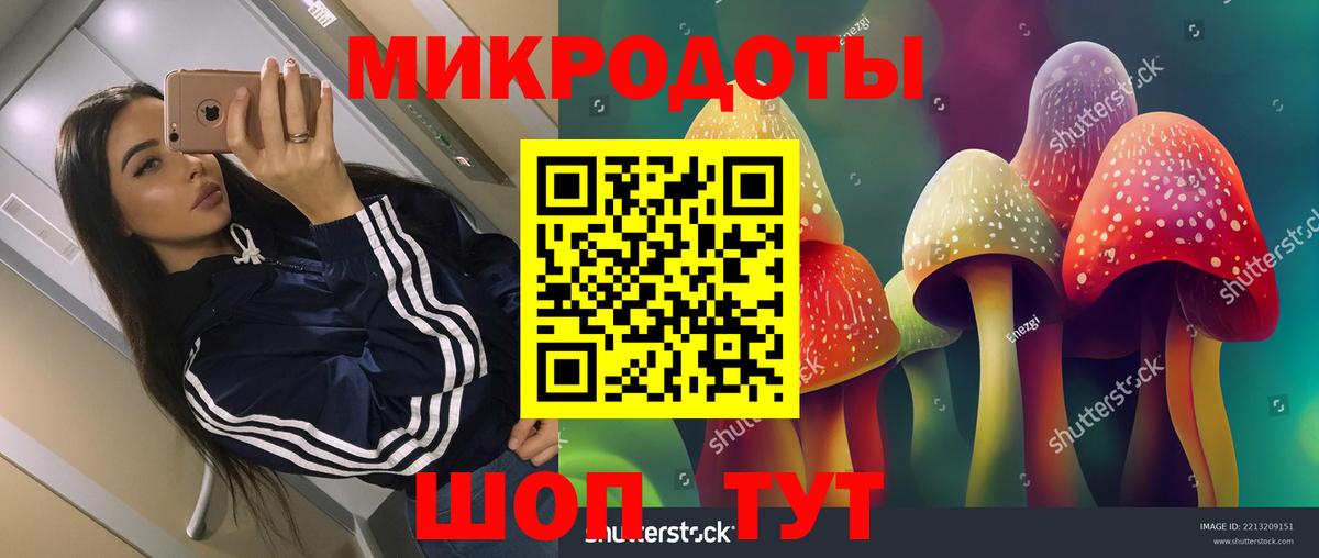 Дмитров  Псилоцибиновые грибы Psilocybe  Вход с VPN 