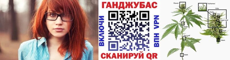 купить   ОМГ ОМГ как зайти  Бошки марихуана сатива  Дмитров 